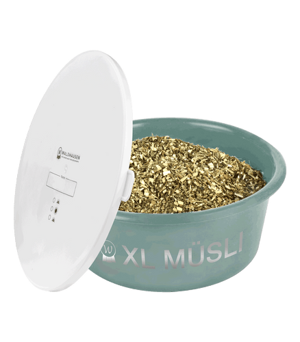 Schale offen mit Müsli mistel