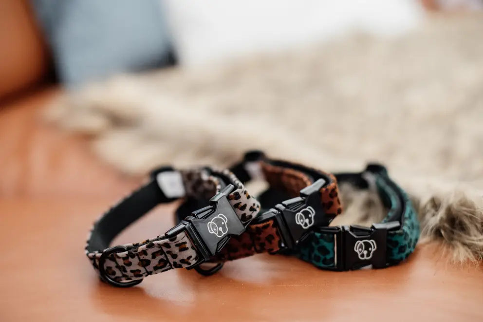 Kentucky Hundehalsband Leopard