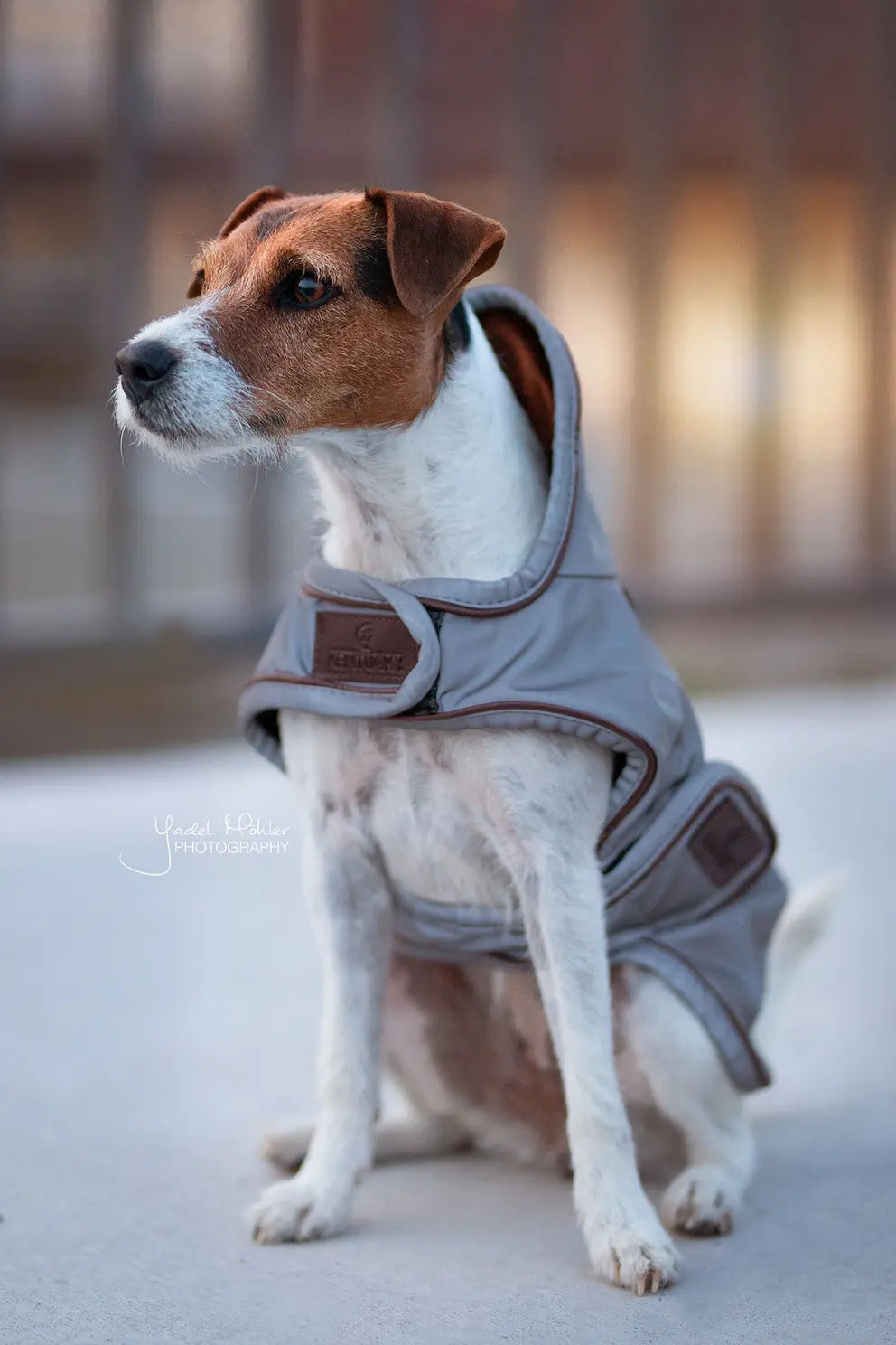 Kentucky Hundemantel reflektierend und wasserabweisend