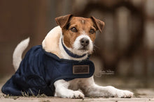 Lade das Bild in den Galerie-Viewer, hundemantel am hund als beispiel von vorne
